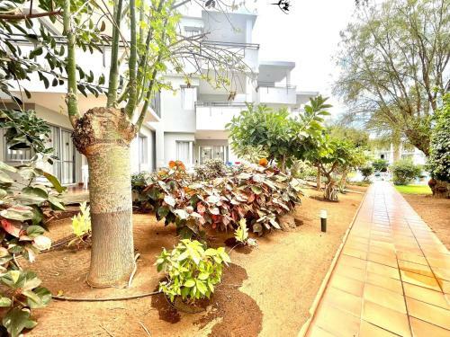 Apartamento Con Balcon, Piscina, Cerca Playa En Tenerife Sur