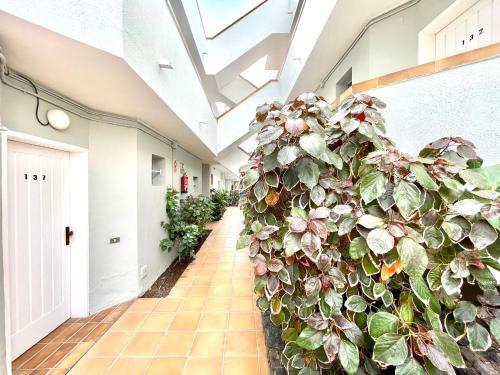 Apartamento Con Balcon, Piscina, Cerca Playa En Tenerife Sur