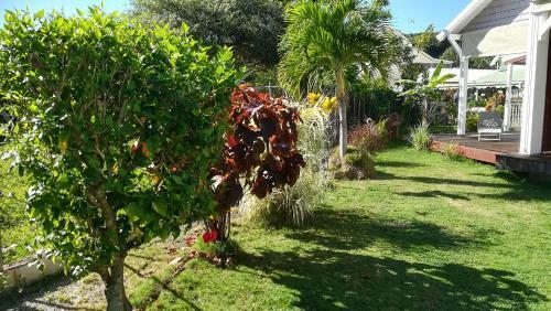 Apartamento Cocon Caraibe