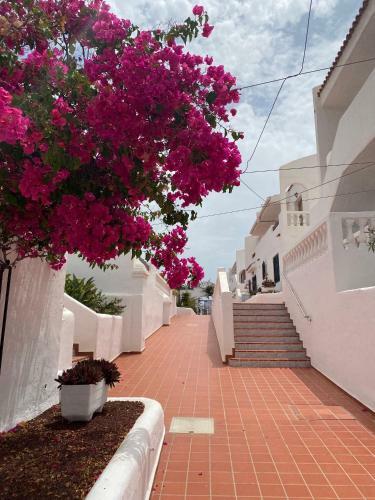 Apartamento Port Royal