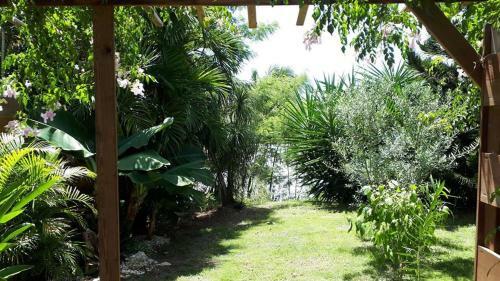Apartamento Studio Quisqualis