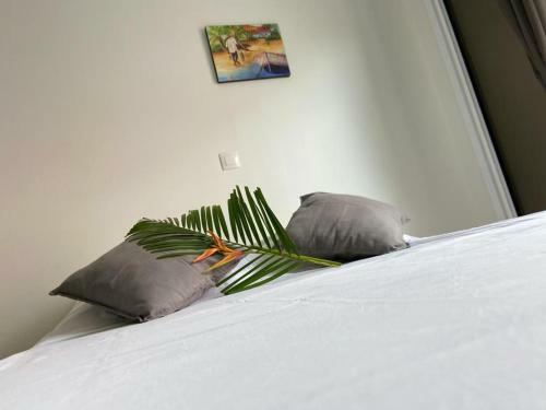 Apartamento R�sidence Vwal O Van 2, Studio Plage � Proximit�
