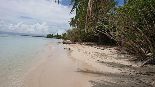 Bas de Villa 80m2 En Toute Intimit� � 500 Metres de La Plage