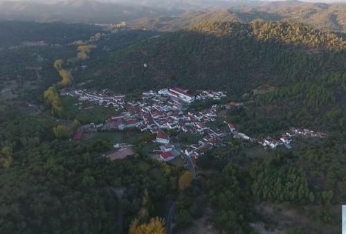 Tio Tesoro