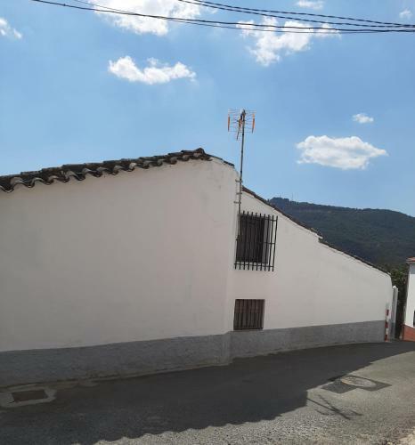 Tio Tesoro