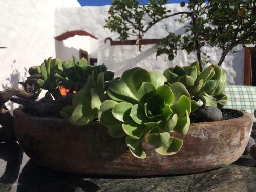 Apartamento Casa Alegr�a