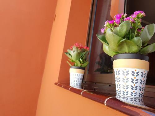 Apartamento Teno Mountains&bananas Garden House