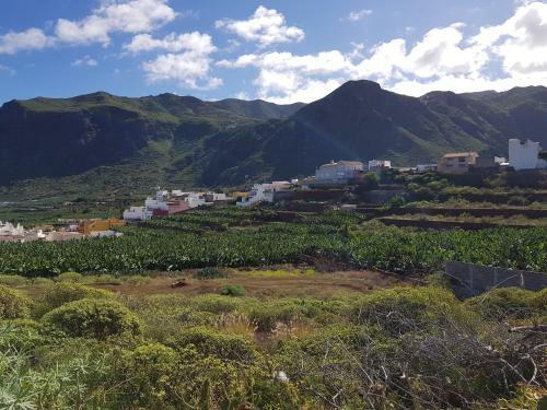 Apartamento Teno Mountains&bananas Garden House