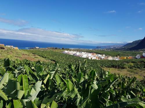 Apartamento Teno Mountains&bananas Garden House