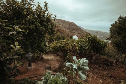 Villa Los Hinojales