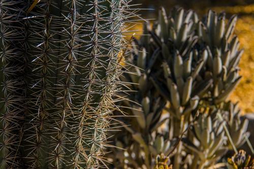 Bed & Breakfast Cortijo 4 Elementos