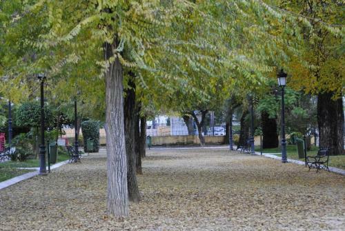 Apartamento �tico Con Gran Terraza En Lucena. Ideal Parejas.