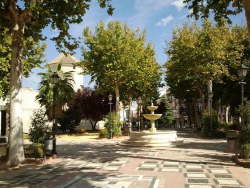 Apartment Lucena Center Atico