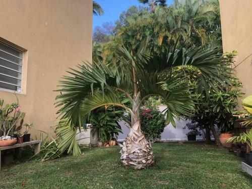 Apartamento Appart-97290