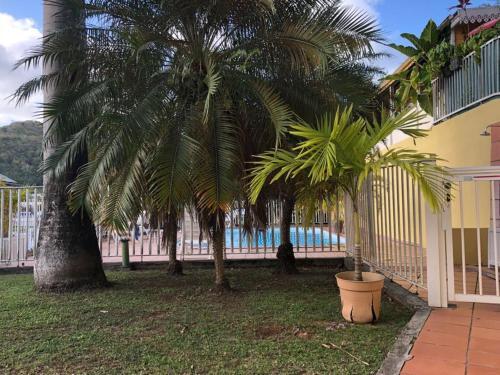 Apartamento Appart-97290
