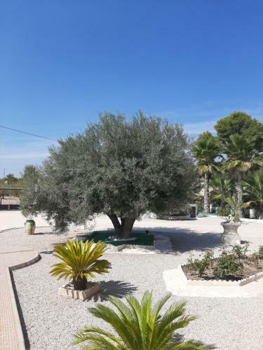 Bed & Breakfast La Dolce Vita