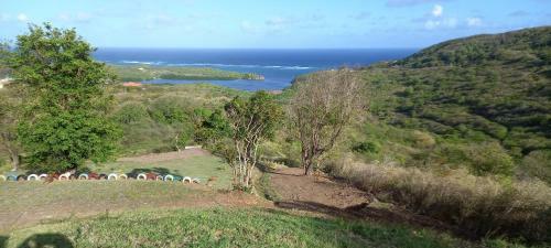 Martiniquesafarilodge