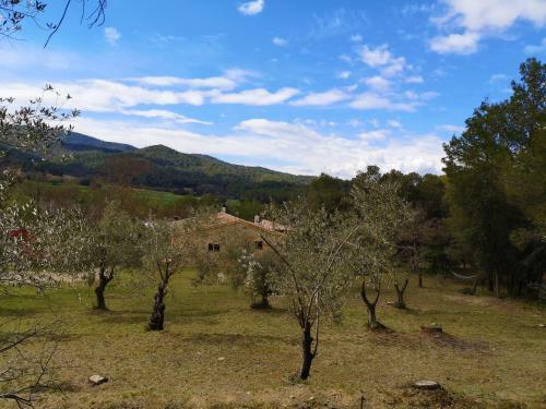 Apartamento Mas Tarr�s