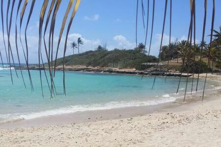 Apartamento Le Rayon De Soleil