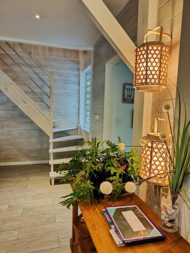 Villa Aloha