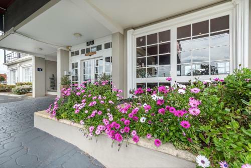 Hotel Ibis Styles Albany