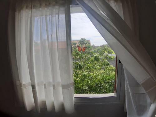 Apartamento Area Pequena