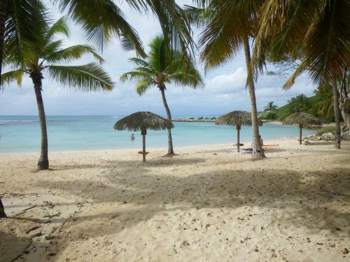 Apartamento Cactus Anse Des Rochers