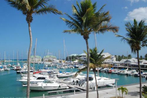 Apartamento Cactus Anse Des Rochers