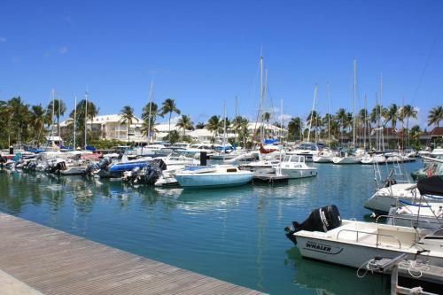Apartamento Cactus Anse Des Rochers