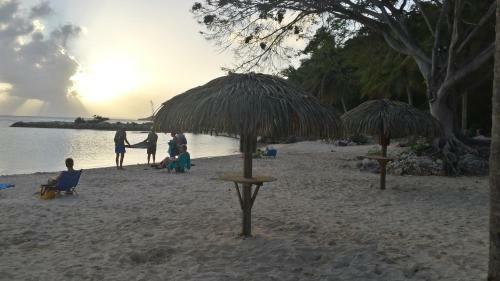 Apartamento Cactus Anse Des Rochers