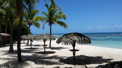 Apartamento Cactus Anse Des Rochers