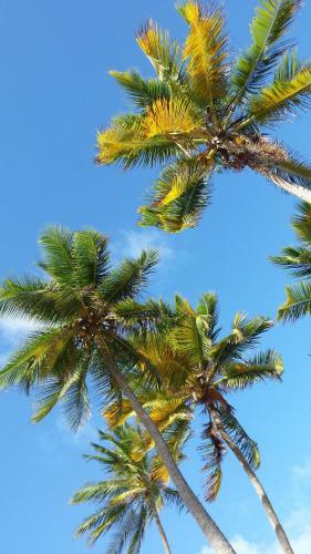 Apartamento Cactus Anse Des Rochers