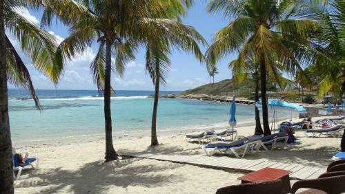 Apartamento Caribluewave Studio P�lican