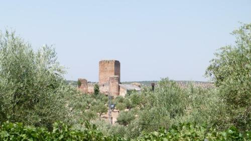 Agroturismo La Aragonesa