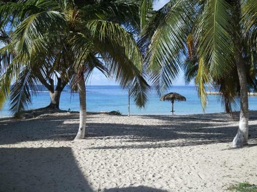 Apartamento Le Tiar� - Anse Des Rochers