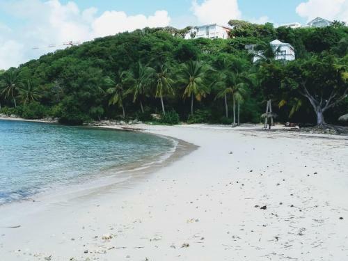 Apartamento Vue Mer Haut de Villa Anse Des Rochers