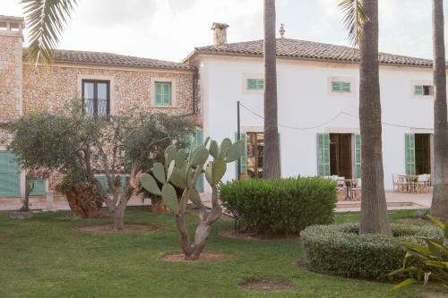 Curolla Petit Hotel