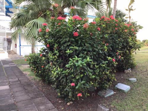Apartamento Tico Hollydays Beach