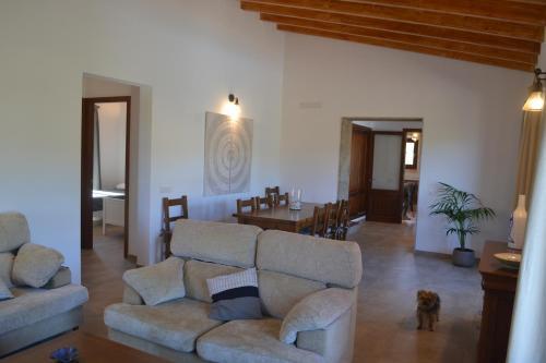Ca�s Patr� Macianer Etv9544