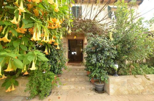 Finca Alegra
