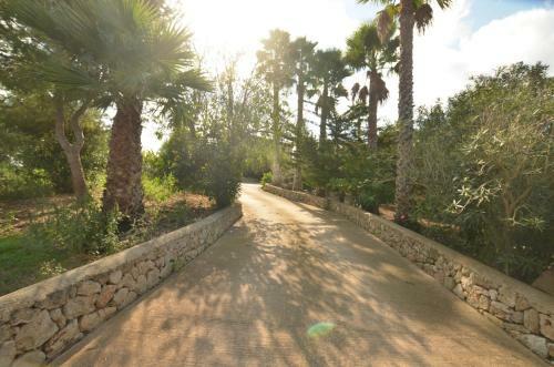 Finca Alegra