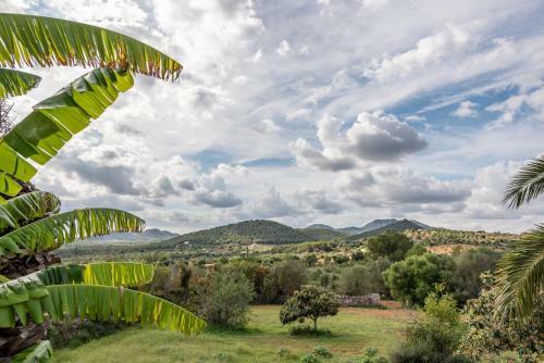 Finca Sa Bassa Seca