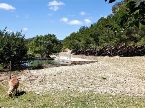 Luxury Villa In Manacor With Private Terrace And Garden