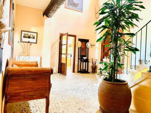 Finca Es Turonet - Rentallorca