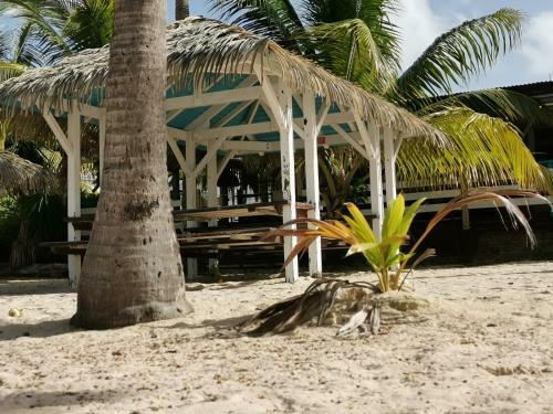 Apartamento Studio Aim� Des Antilles, Plage Piscine