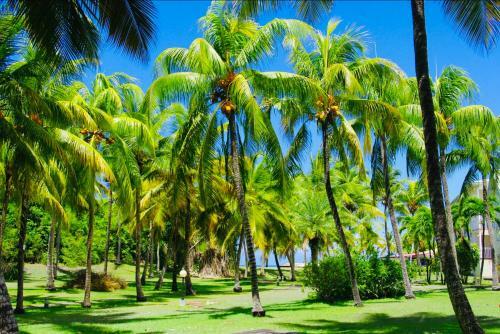Apartamento �den Lagon 1 Dans R�sidence Avec Piscine Et Plage