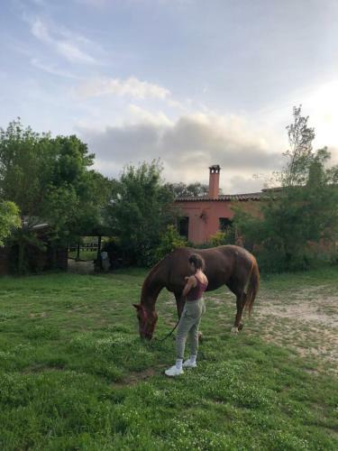 Agroturismo Can Companys