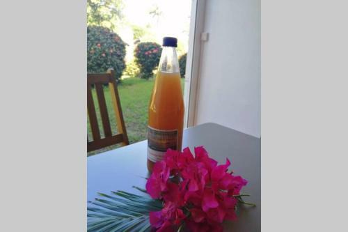 Apartamento New Studio Massouly Vue Jardin Anse Des Rochers