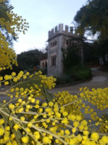 Lodge The Castle Barcelona-villa Maresme