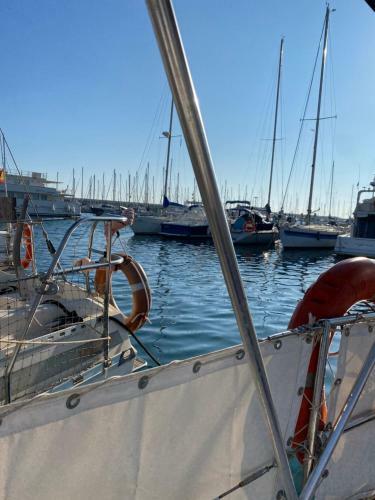 Welcome Aboard Yacht Cruiser!